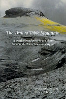 Trail to Table Mountain