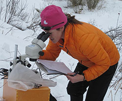 Studying Snow Crystal With a Microscope