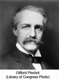 Gifford Pinchot