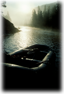 Morning Mist on a River Trip